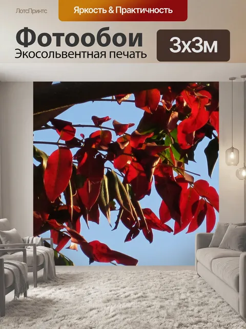 Фотообои красный осенью листья