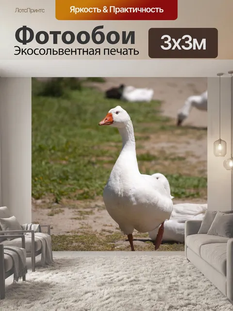 Фотообои Гусь