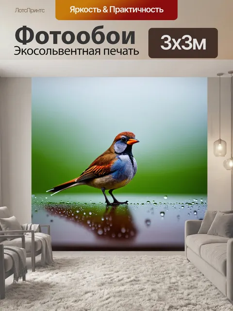 Фотообои птичка, стоящая на капле росы, словно в ожидании нового приключения