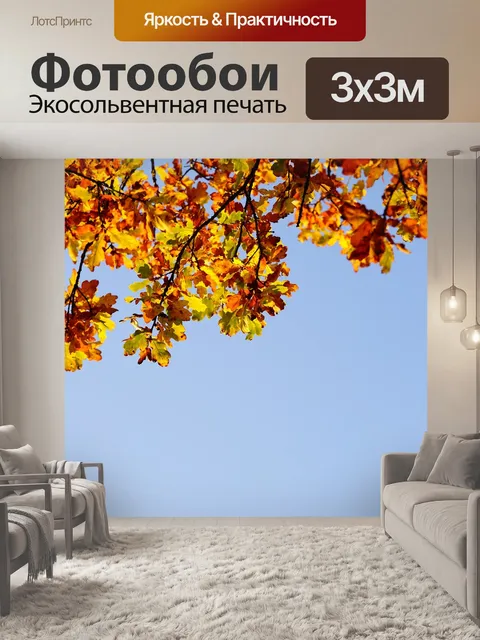 Фотообои Дубовые листья