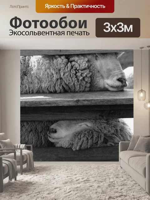 Фотообои Овцы