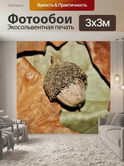 Фотообои Бур желудь на осенние листья крупным пла