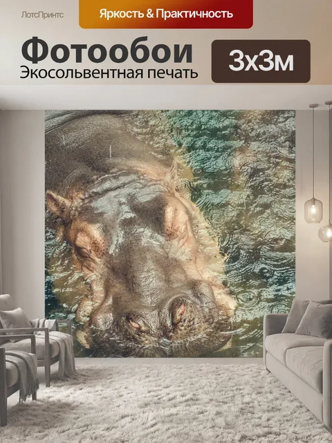 Фотообои Бегемот
