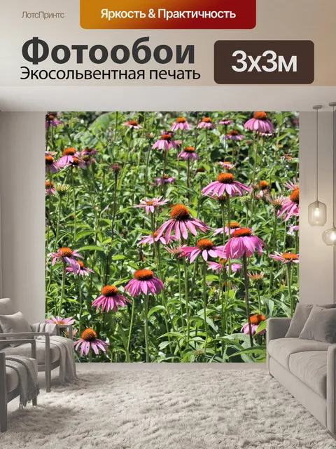 Фотообои Поле розовых подсолнухов