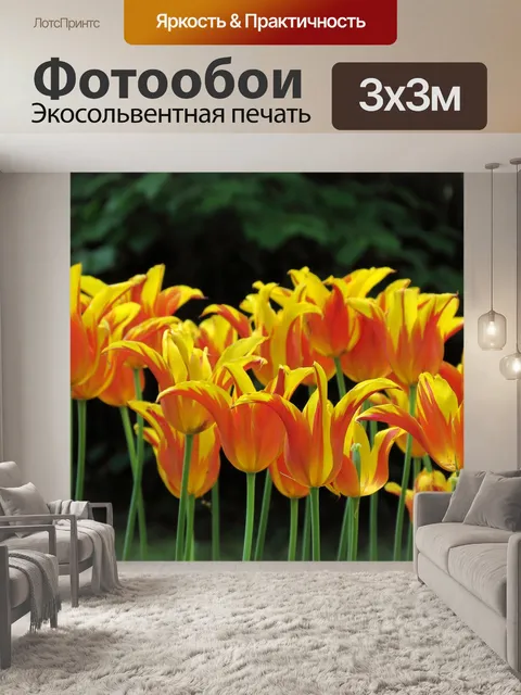 Фотообои Тюльпаны