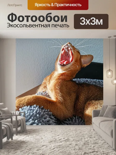 Фотообои Кот