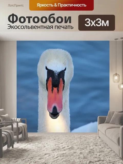 Фотообои Лебедь