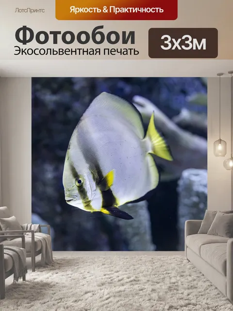Фотообои Рыба