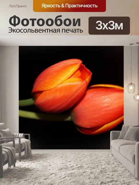 Фотообои Тюльпаны