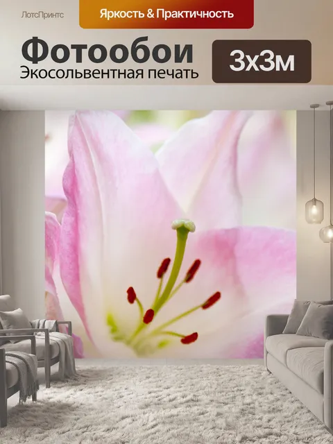 Фотообои розовая лилия