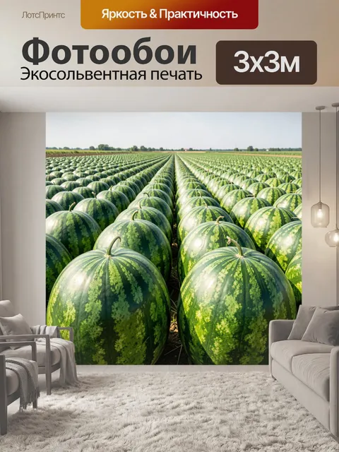 Фотообои Арбузное поле до горизонта