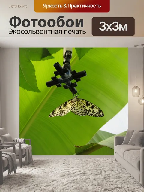 Фотообои Прованс