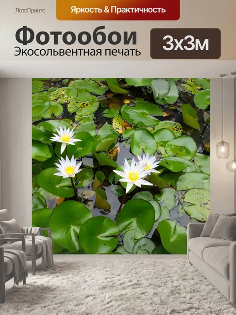 Фотообои Цветы