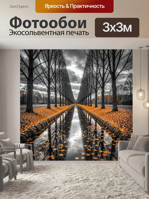 Фотообои Черно-белый осенний пейзаж с узким водным каналом