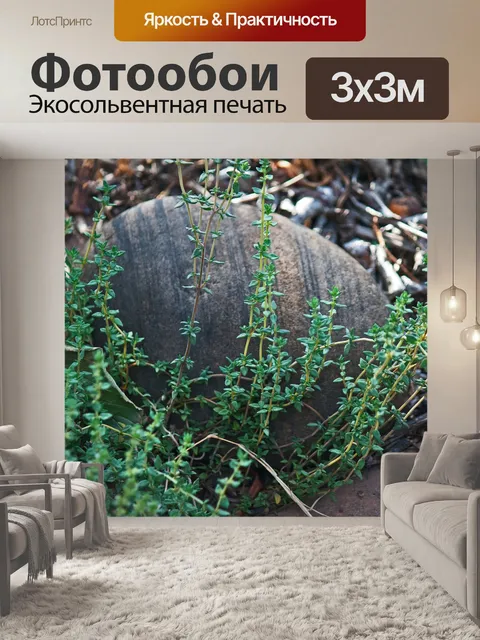 Фотообои нежный зеленый тимьян с камнем