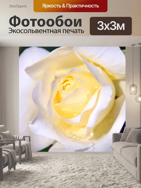 Фотообои Белый