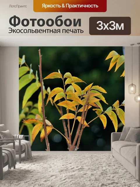 Фотообои Пекан орех листьев