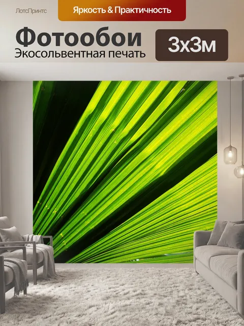 Фотообои Зеленый пальмовый лист
