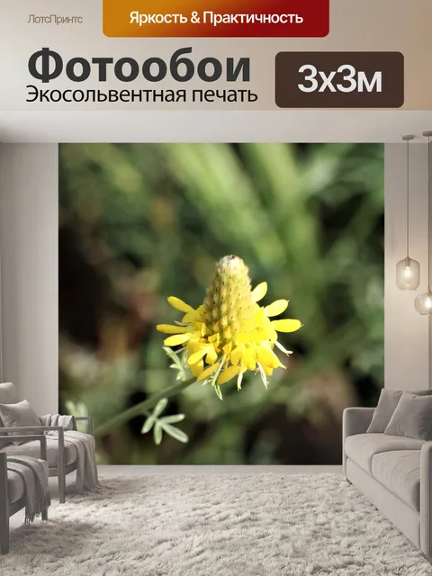 Фотообои Золотая прерия Клевер Уайлдфлауэр