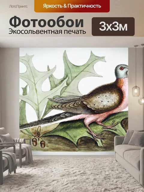 Фотообои Птица винтаж искусство старый