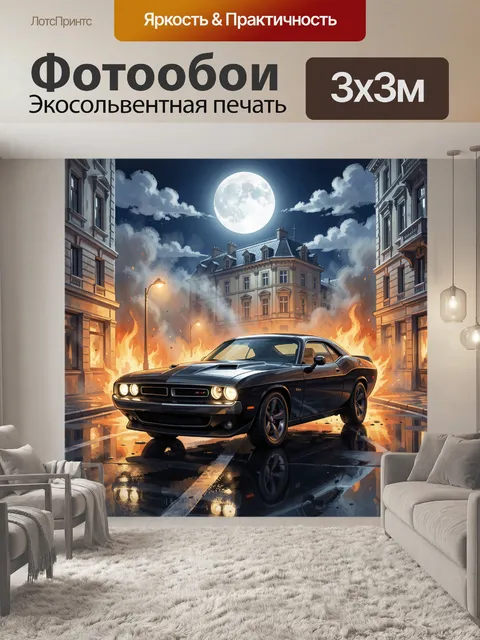300 × 300 см · Экосольвентная печать