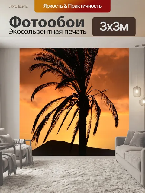 Фотообои Дерево пальмы