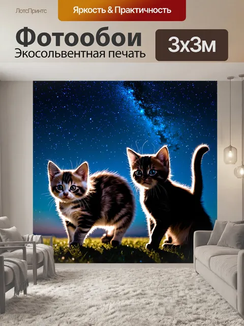 Фотообои котята, мигающие на фоне звездного неба, вечерняя идиллия