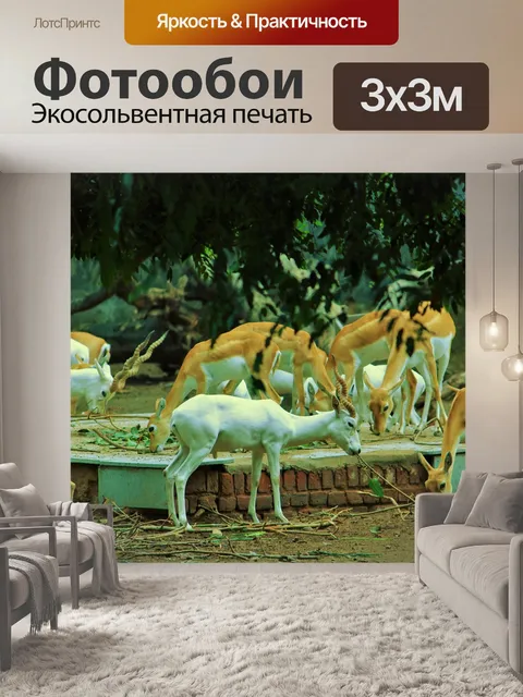 Фотообои Белый олень