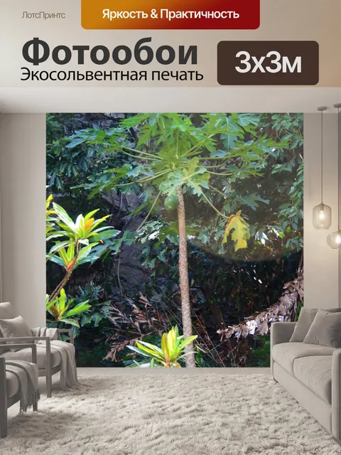 Фотообои высокий папайя дерево
