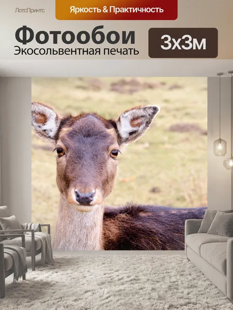 Фотообои Олень