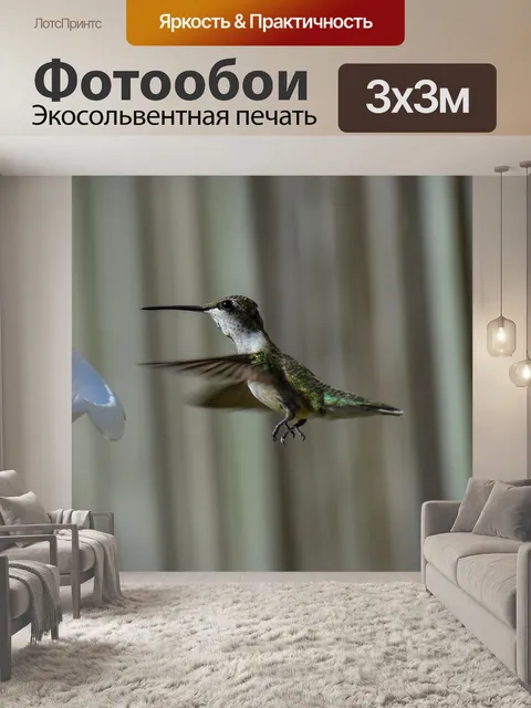 Фотообои Птица