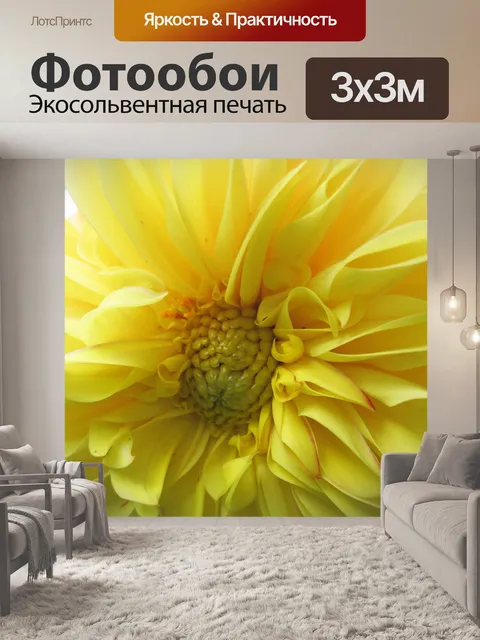 Фотообои желтый георгин крупным планом