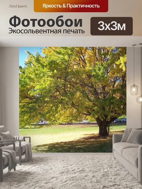 Фотообои Большое дерево в парке