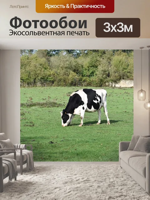 Фотообои Корова