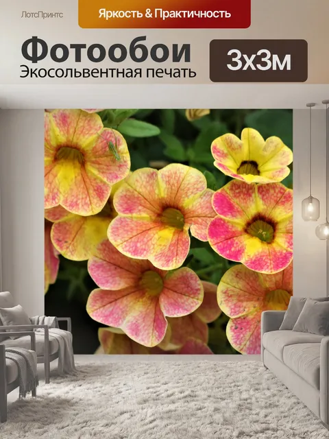 Фотообои Розовые и желтые петунии крупным планом
