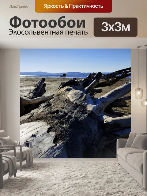 Фотообои Засуха Вход