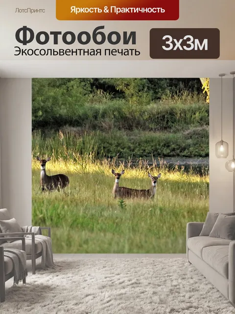 Фотообои Три оленька белого хвоста в высокой трав