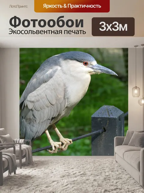 Фотообои Дикая природа