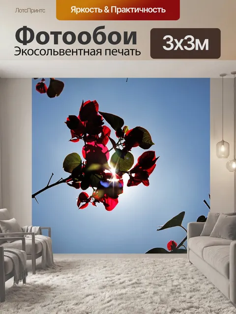 Фотообои Бугенвиллия