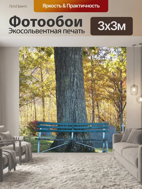 Фотообои Место отдыха