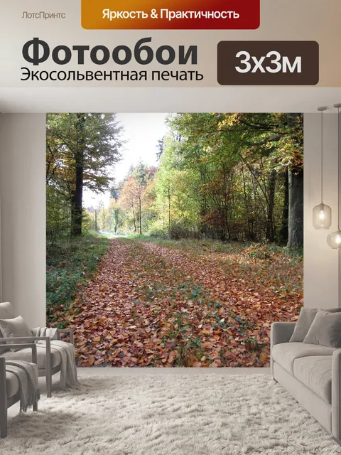 Фотообои Лесная тропа