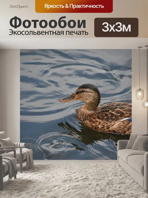 Фотообои Утка