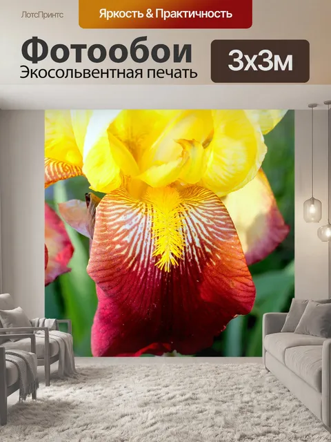 Фотообои Цветок