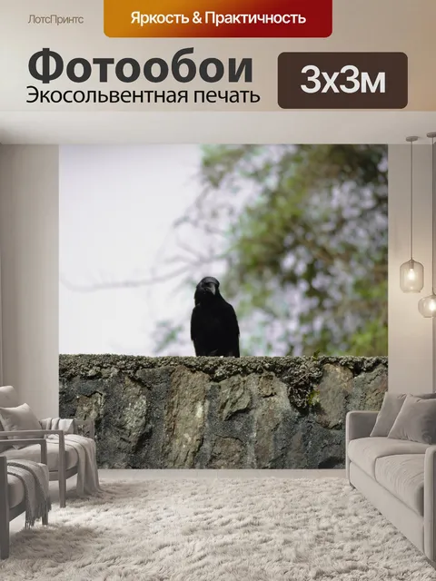 Фотообои Ворона на стене
