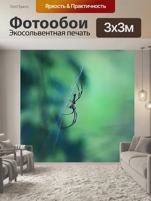 Фотообои Паук