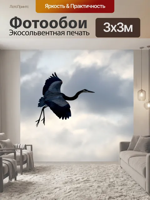 Фотообои Голубая цапля в полете