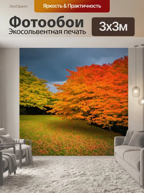 Фотообои япония: природа в кумамото осенью, где оранжевые и желтые листья покрывают землю, а ветер легонько их треплет