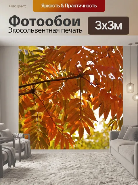 Фотообои Желтые листья