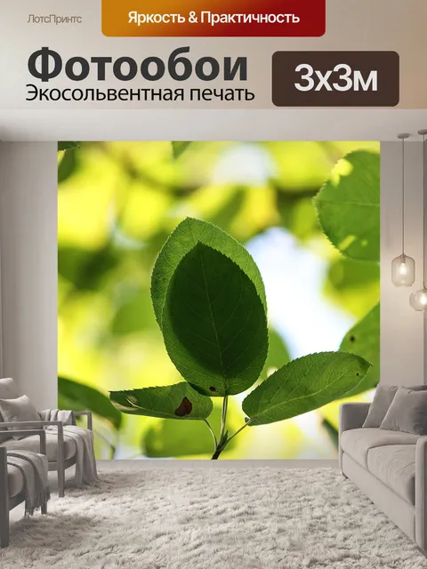 Фотообои Тень