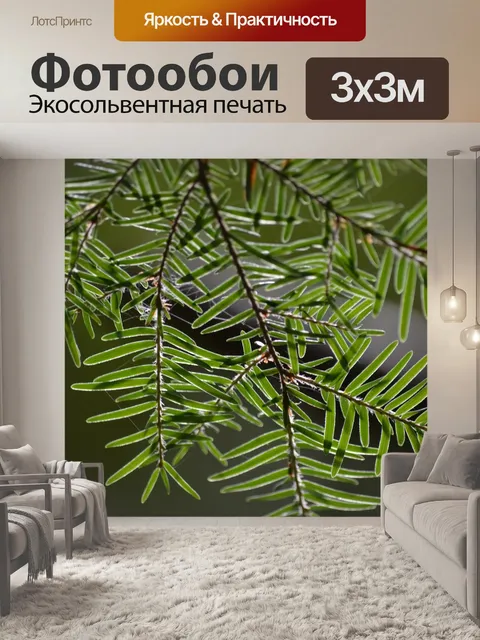 Фотообои Листья